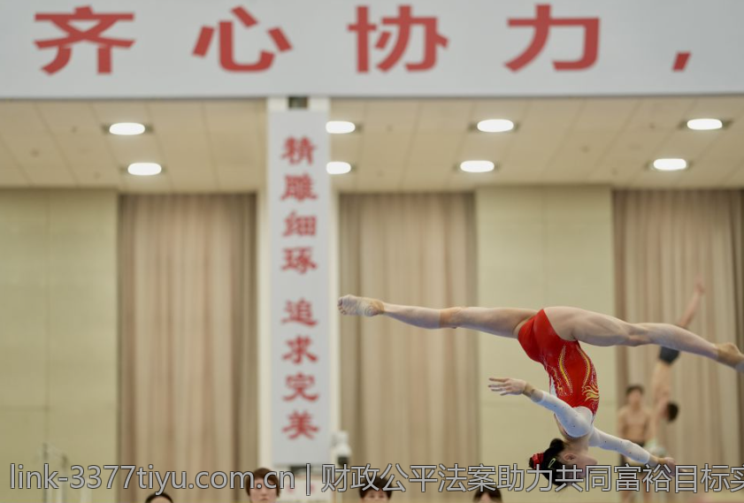 财政公平法案助力共同富裕目标实现